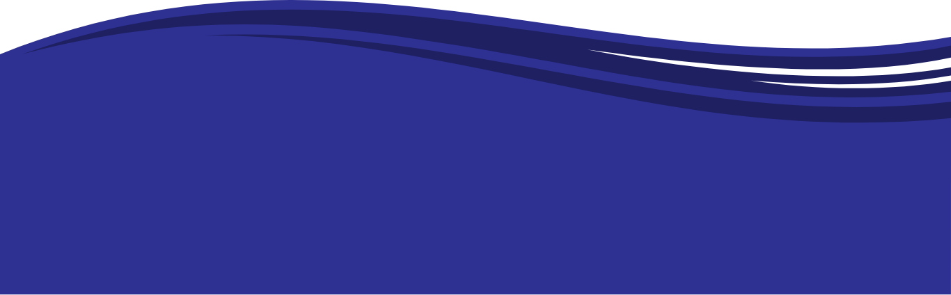 image footer
